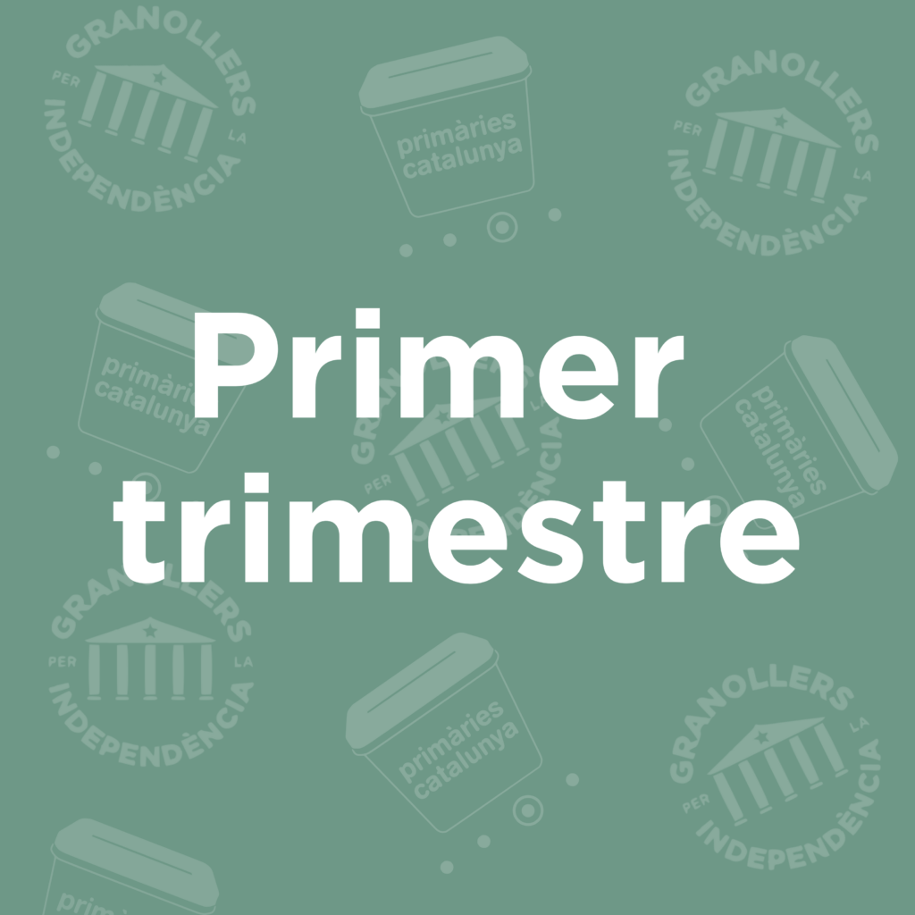 Memòria primer trimestre